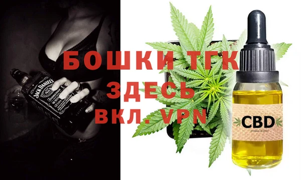 индика Алексин