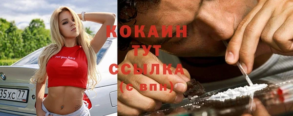 индика Алексин